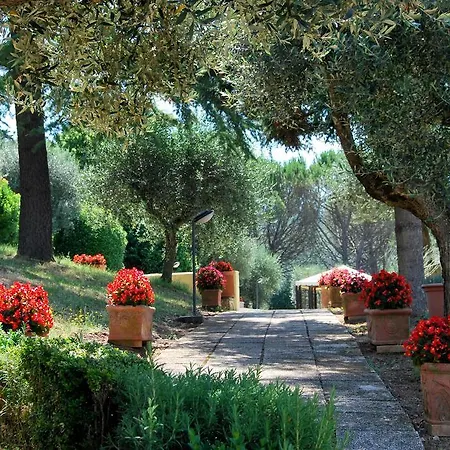 B&B Albe